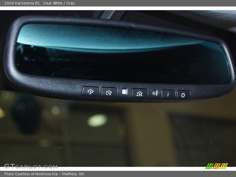 Clear White / Gray 2009 Kia Sedona EX