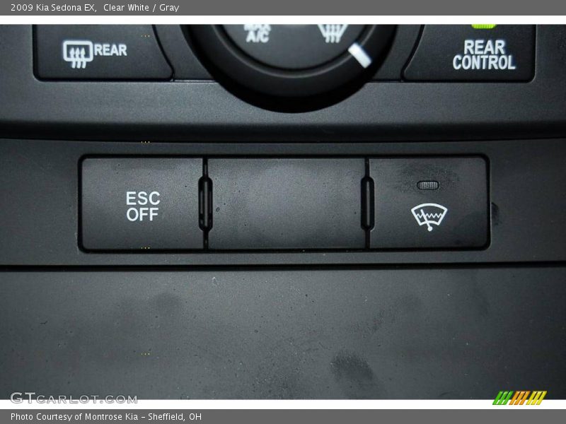Clear White / Gray 2009 Kia Sedona EX