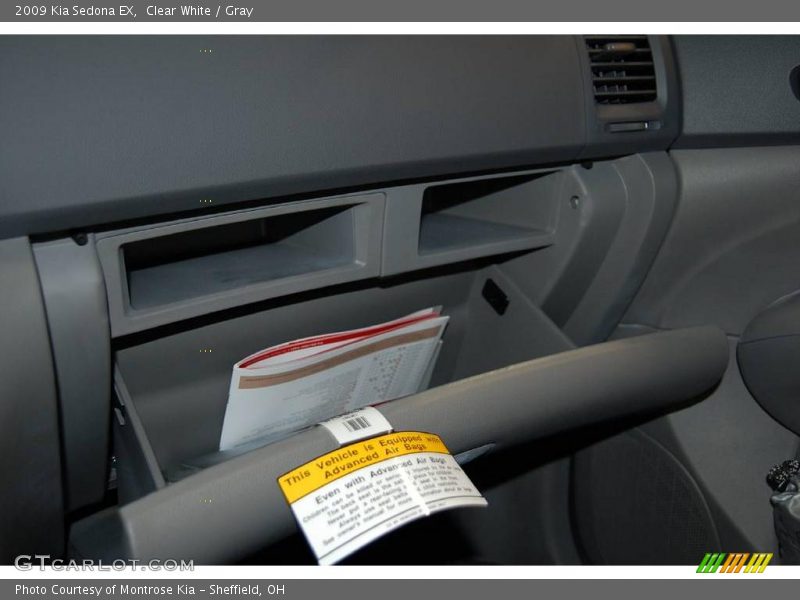 Clear White / Gray 2009 Kia Sedona EX