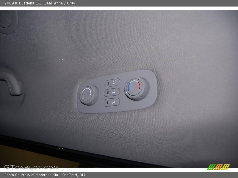 Clear White / Gray 2009 Kia Sedona EX