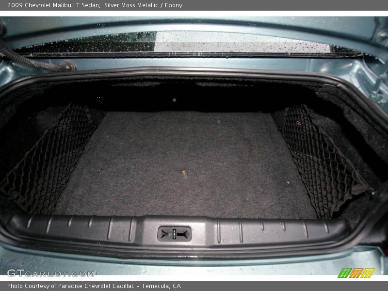 Silver Moss Metallic / Ebony 2009 Chevrolet Malibu LT Sedan