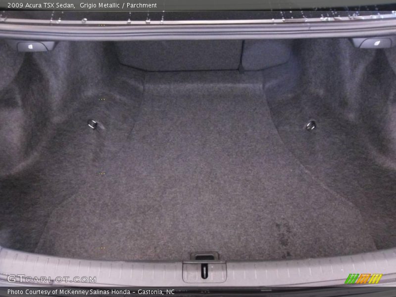 Grigio Metallic / Parchment 2009 Acura TSX Sedan