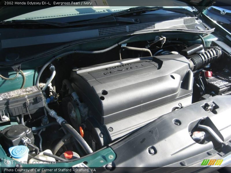 Evergreen Pearl / Ivory 2002 Honda Odyssey EX-L