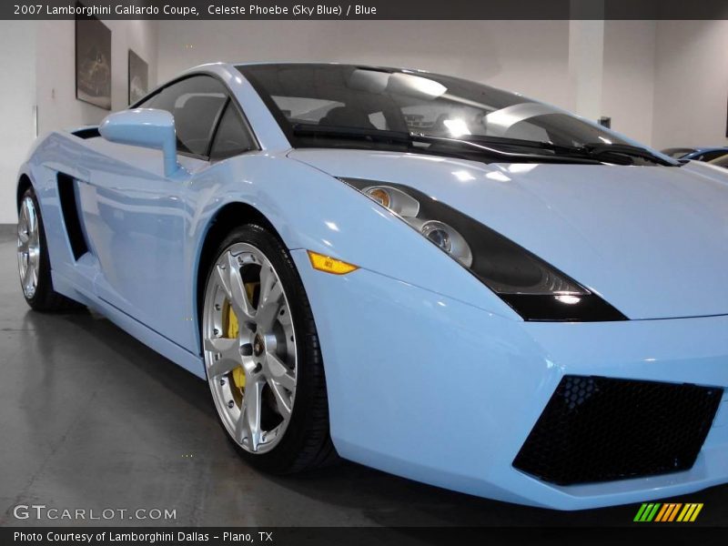 Celeste Phoebe (Sky Blue) / Blue 2007 Lamborghini Gallardo Coupe