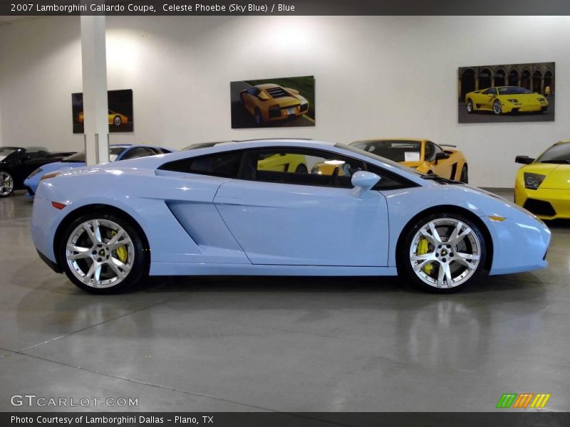 Celeste Phoebe (Sky Blue) / Blue 2007 Lamborghini Gallardo Coupe