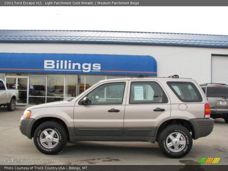 Light Parchment Gold Metallic / Medium Parchment Beige 2001 Ford Escape XLS