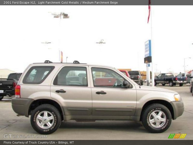 Light Parchment Gold Metallic / Medium Parchment Beige 2001 Ford Escape XLS