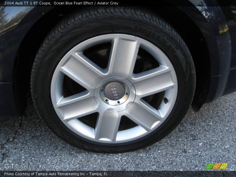 Ocean Blue Pearl Effect / Aviator Grey 2004 Audi TT 1.8T Coupe