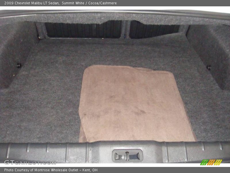 Summit White / Cocoa/Cashmere 2009 Chevrolet Malibu LT Sedan