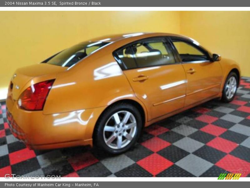 Spirited Bronze / Black 2004 Nissan Maxima 3.5 SE
