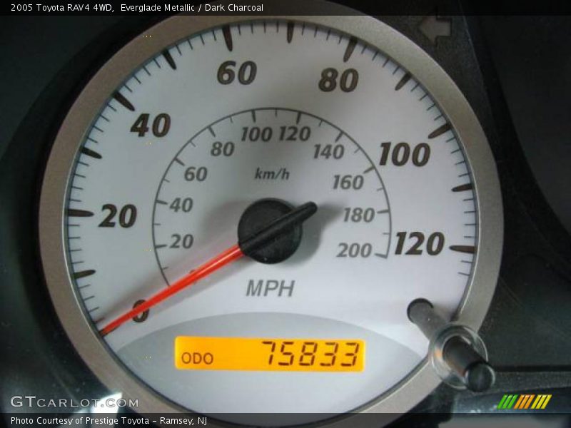 Everglade Metallic / Dark Charcoal 2005 Toyota RAV4 4WD