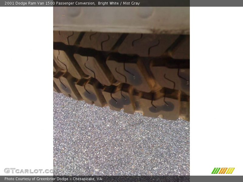 Bright White / Mist Gray 2001 Dodge Ram Van 1500 Passenger Conversion