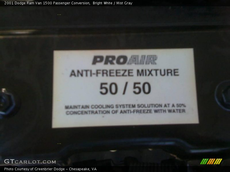 Bright White / Mist Gray 2001 Dodge Ram Van 1500 Passenger Conversion
