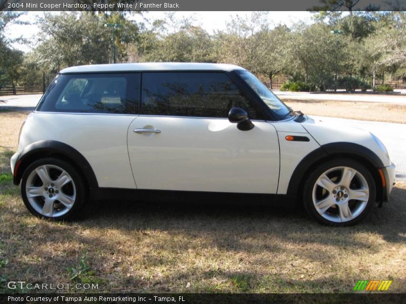 Pepper White / Panther Black 2004 Mini Cooper Hardtop