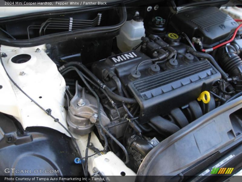Pepper White / Panther Black 2004 Mini Cooper Hardtop