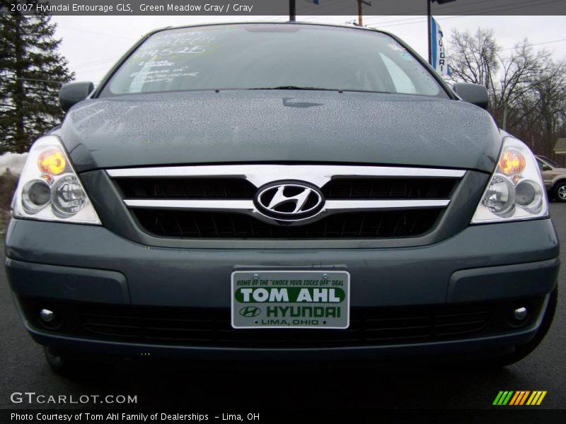 Green Meadow Gray / Gray 2007 Hyundai Entourage GLS