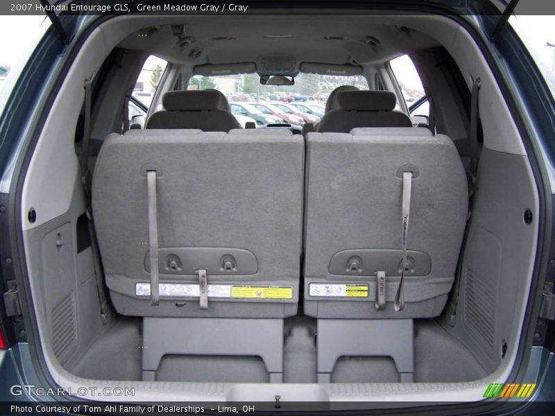 Green Meadow Gray / Gray 2007 Hyundai Entourage GLS