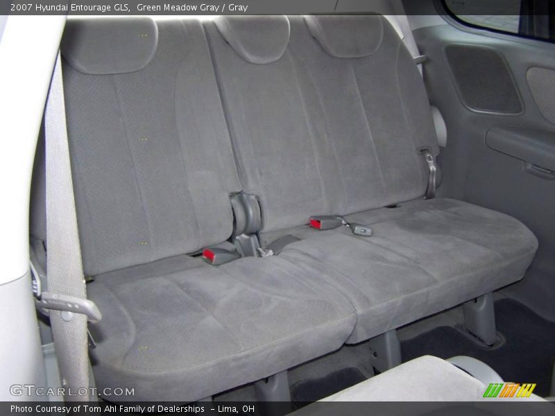 Green Meadow Gray / Gray 2007 Hyundai Entourage GLS