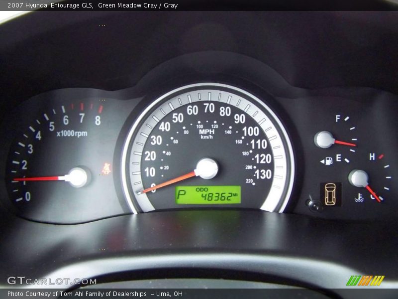 Green Meadow Gray / Gray 2007 Hyundai Entourage GLS