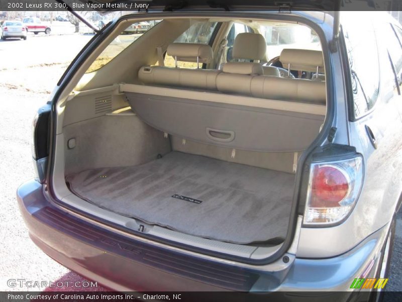 Blue Vapor Metallic / Ivory 2002 Lexus RX 300