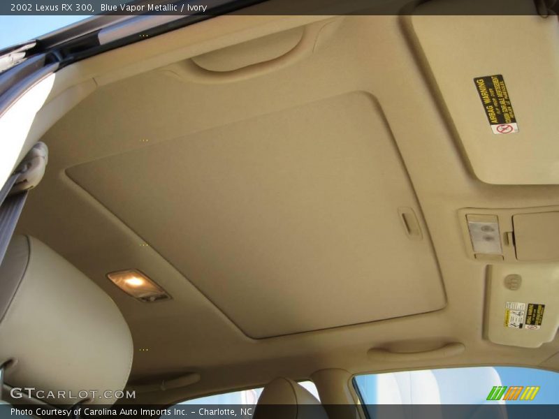 Blue Vapor Metallic / Ivory 2002 Lexus RX 300