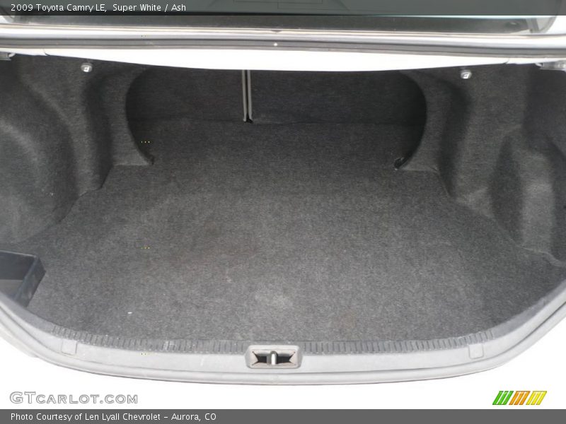 Super White / Ash 2009 Toyota Camry LE