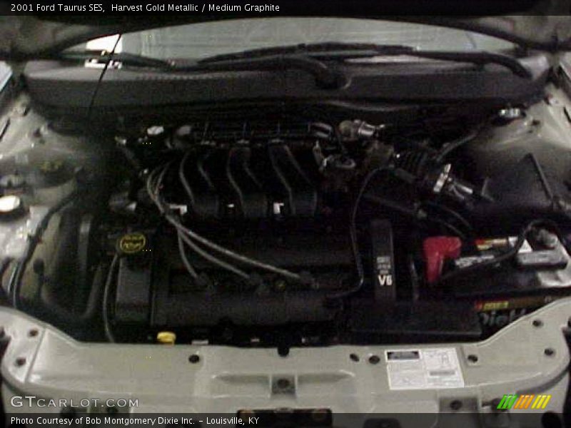 Harvest Gold Metallic / Medium Graphite 2001 Ford Taurus SES