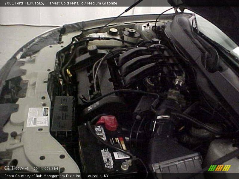Harvest Gold Metallic / Medium Graphite 2001 Ford Taurus SES