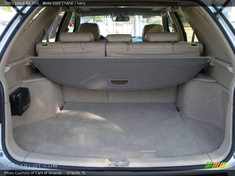 White Gold Crystal / Ivory 2001 Lexus RX 300