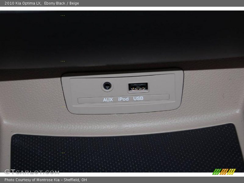 Ebony Black / Beige 2010 Kia Optima LX