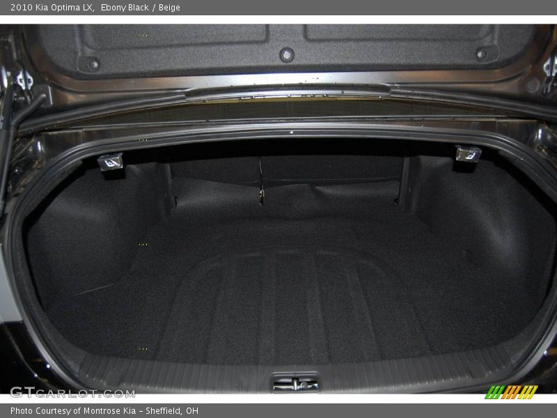 Ebony Black / Beige 2010 Kia Optima LX