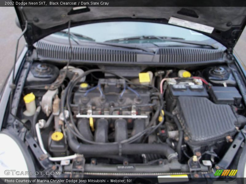 Black Clearcoat / Dark Slate Gray 2002 Dodge Neon SXT