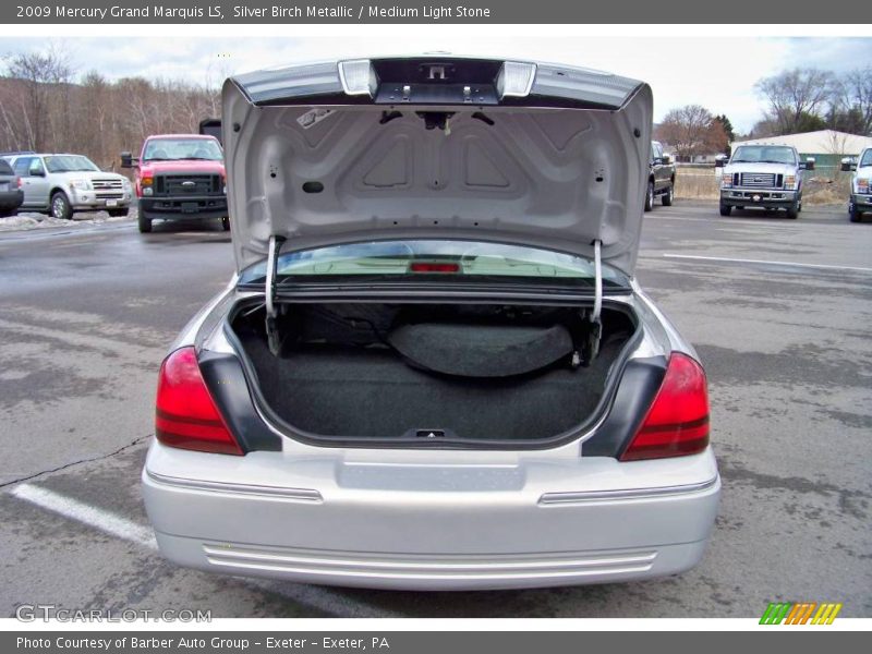 Silver Birch Metallic / Medium Light Stone 2009 Mercury Grand Marquis LS