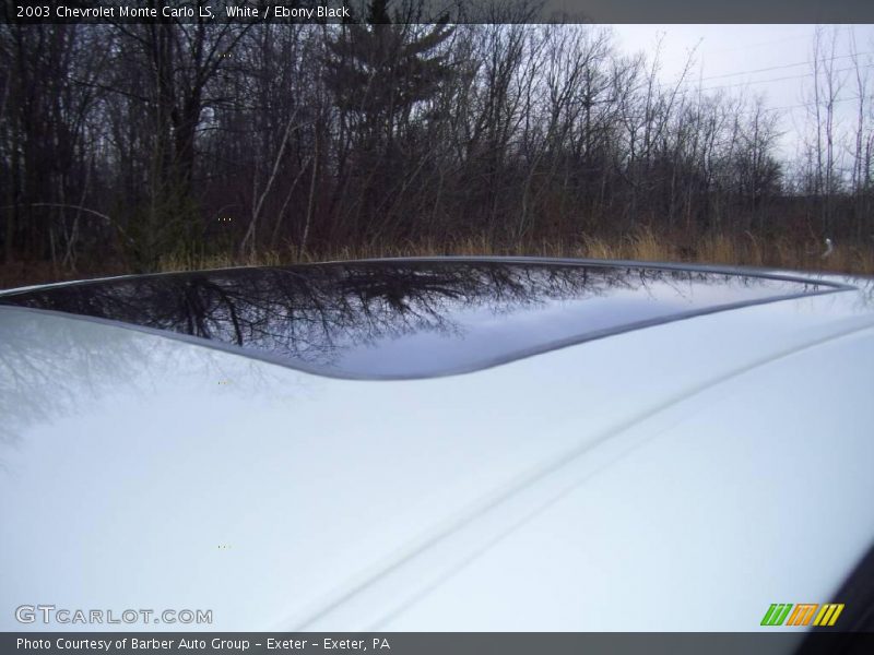 White / Ebony Black 2003 Chevrolet Monte Carlo LS