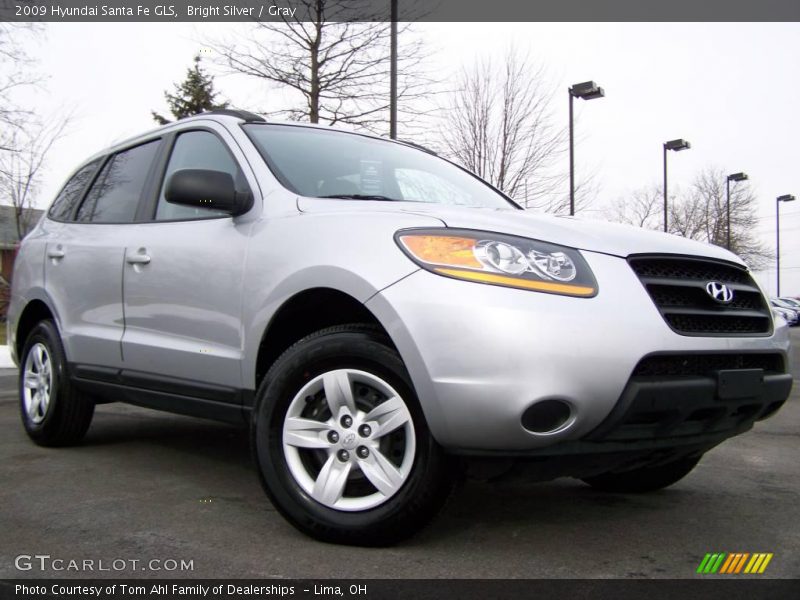 Bright Silver / Gray 2009 Hyundai Santa Fe GLS