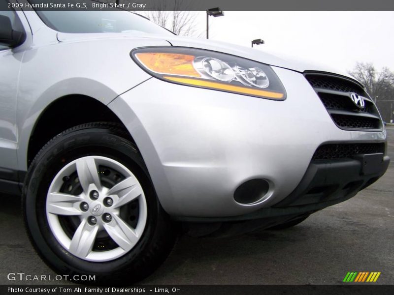 Bright Silver / Gray 2009 Hyundai Santa Fe GLS