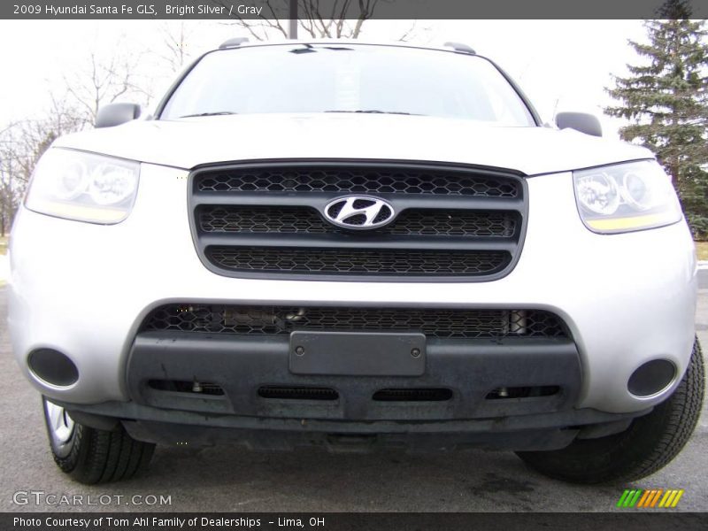 Bright Silver / Gray 2009 Hyundai Santa Fe GLS