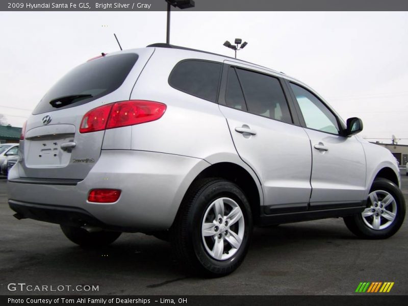 Bright Silver / Gray 2009 Hyundai Santa Fe GLS