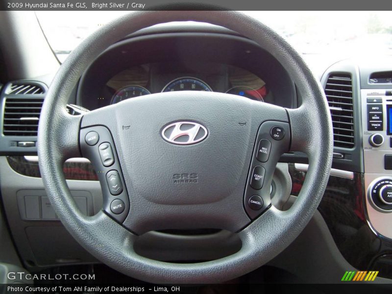 Bright Silver / Gray 2009 Hyundai Santa Fe GLS