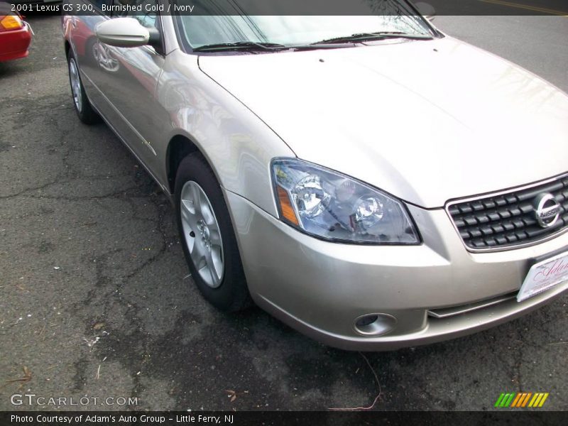 Burnished Gold / Ivory 2001 Lexus GS 300