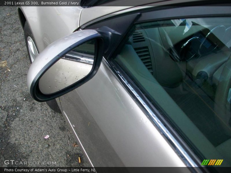 Burnished Gold / Ivory 2001 Lexus GS 300