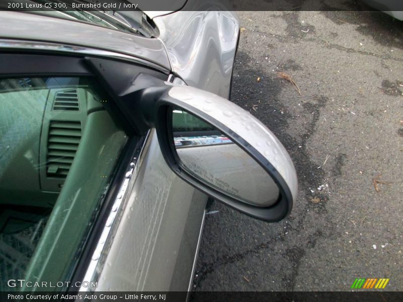 Burnished Gold / Ivory 2001 Lexus GS 300
