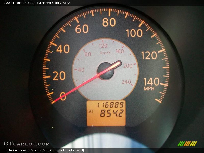 Burnished Gold / Ivory 2001 Lexus GS 300