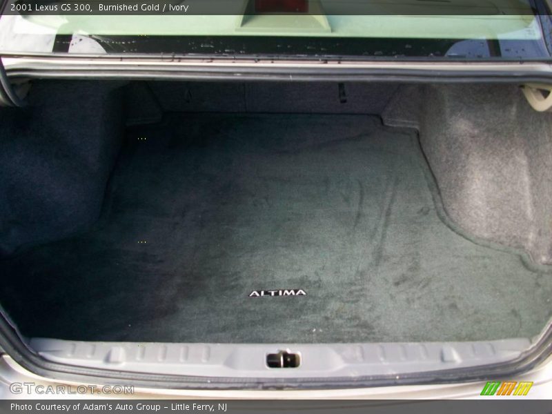 Burnished Gold / Ivory 2001 Lexus GS 300
