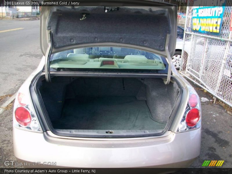 Burnished Gold / Ivory 2001 Lexus GS 300