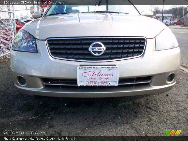 Burnished Gold / Ivory 2001 Lexus GS 300
