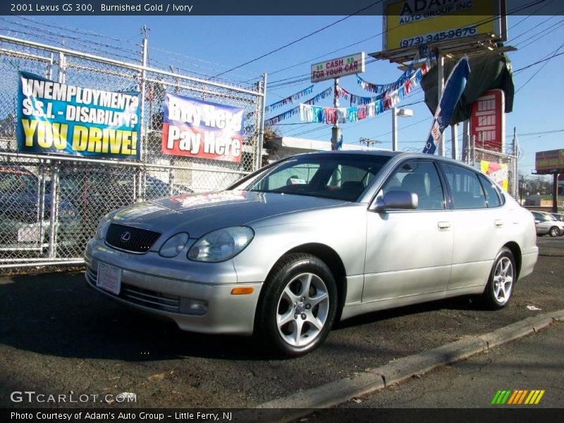 Burnished Gold / Ivory 2001 Lexus GS 300