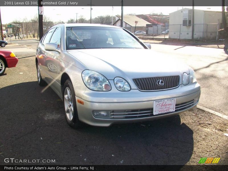 Burnished Gold / Ivory 2001 Lexus GS 300