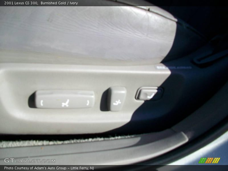 Burnished Gold / Ivory 2001 Lexus GS 300