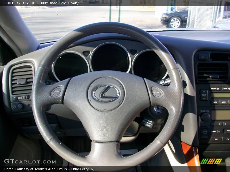 Burnished Gold / Ivory 2001 Lexus GS 300